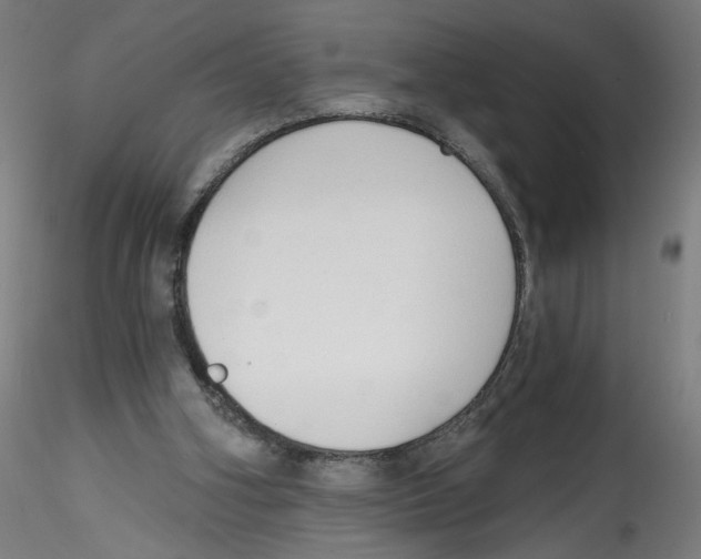 X0000114590106200911301409