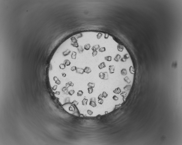 X0000114590107200911301409