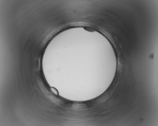 X0000114590109200911301409
