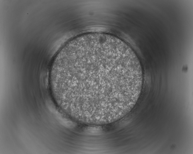 X0000114590110200911301409