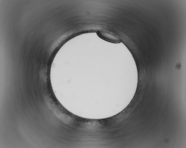 X0000114590112200911301409