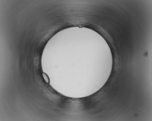 X0000114590113200911301409