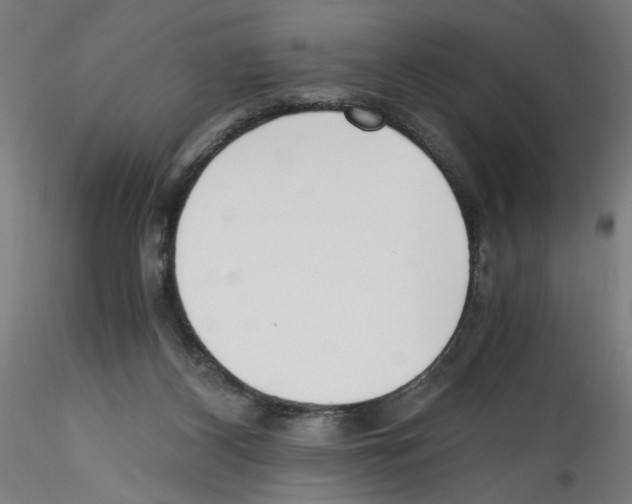 X0000114590116200911301409