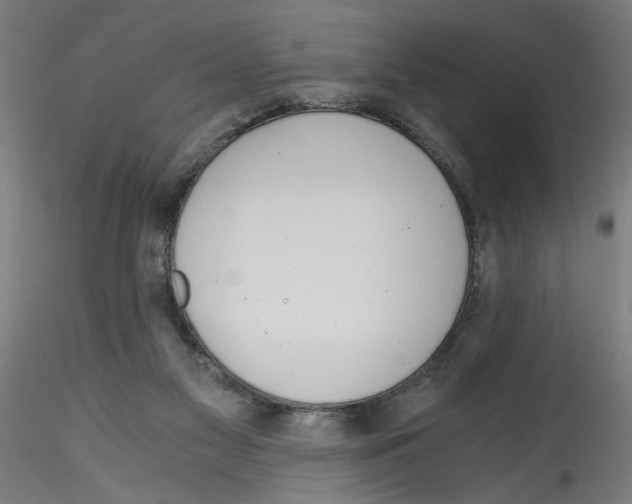 X0000114590117200911301409