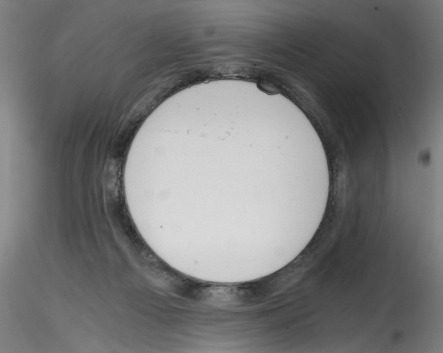X0000114590121200911301409
