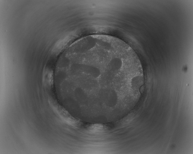 X0000114590123200911301409