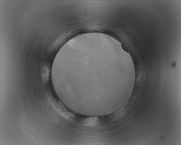 X0000114590124200911301409