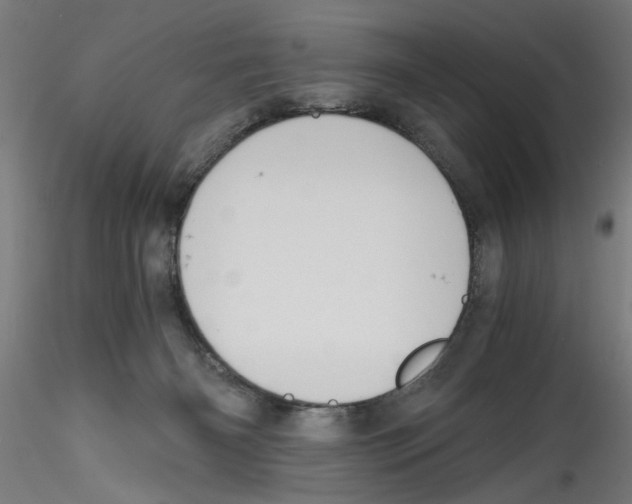 X0000114590126200911301409