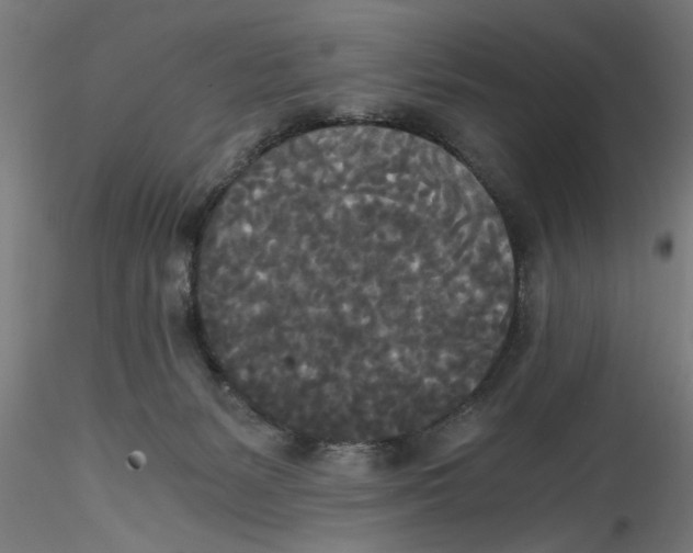 X0000114590127200911301409