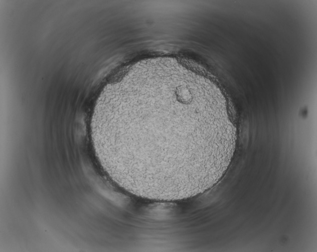 X0000114590128200911301409