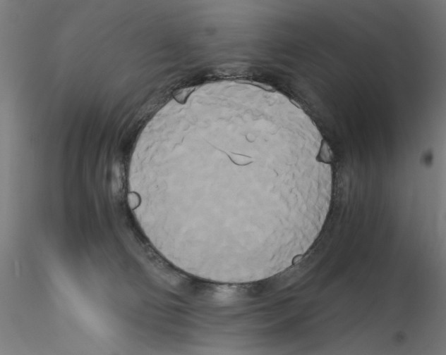 X0000114590130200911301409