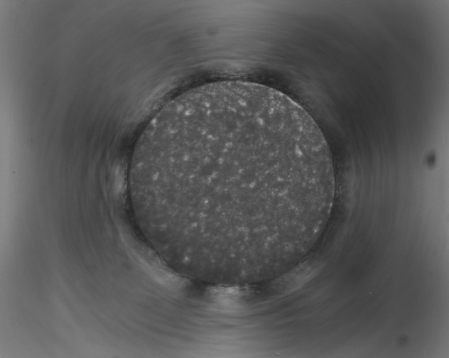 X0000114590131200911301408