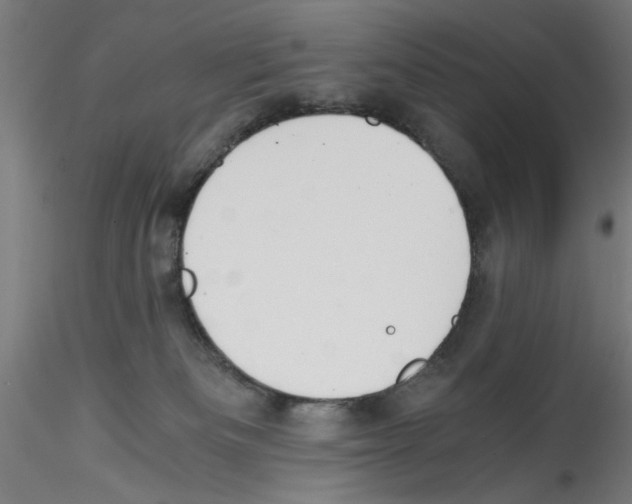 X0000114590133200911301408