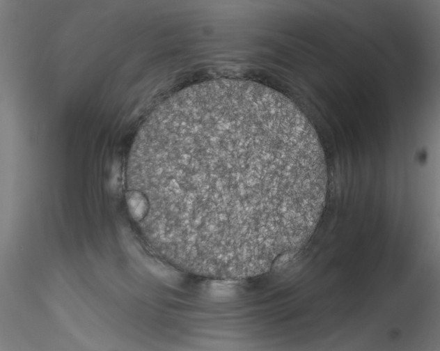 X0000114590134200911301408