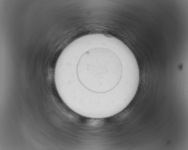 X0000114590135200911301408