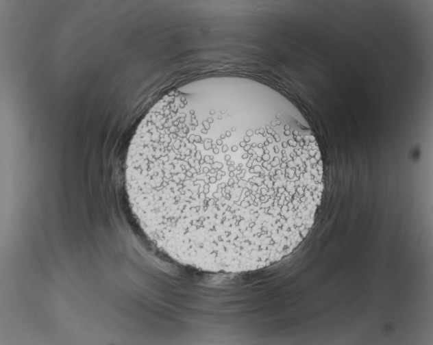 X0000114590136200911301408