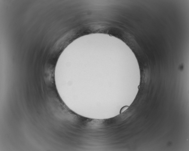 X0000114590138200911301408