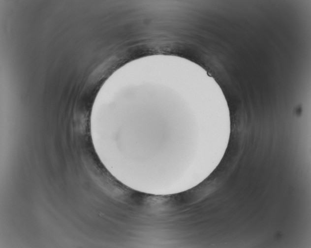 X0000114590139200911301408