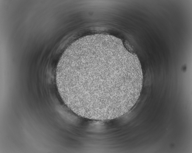 X0000114590140200911301408