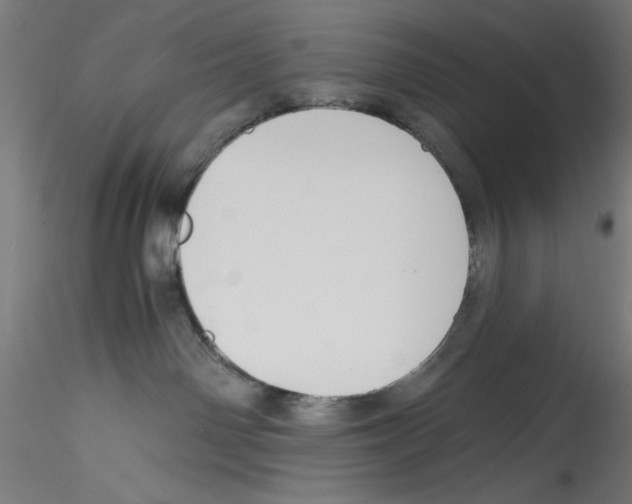 X0000114590142200911301408