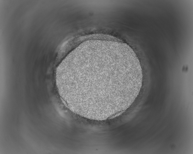 X0000114590144200911301408