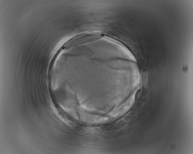 X0000114590147200911301408