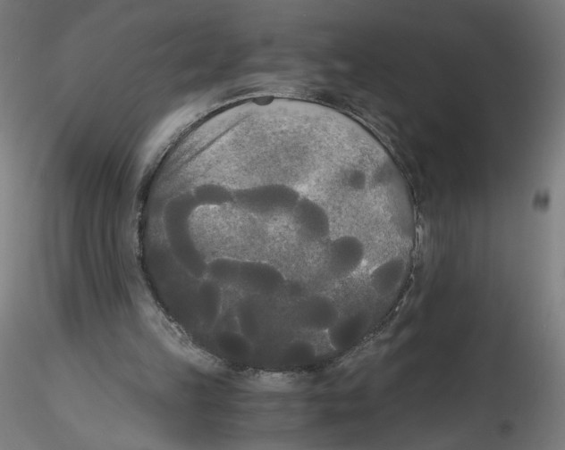 X0000114590149200911301408