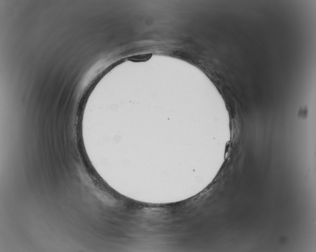 X0000114590150200911301408