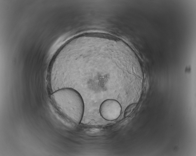 X0000114590151200911301408