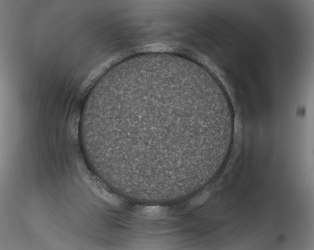 X0000114590153200911301408