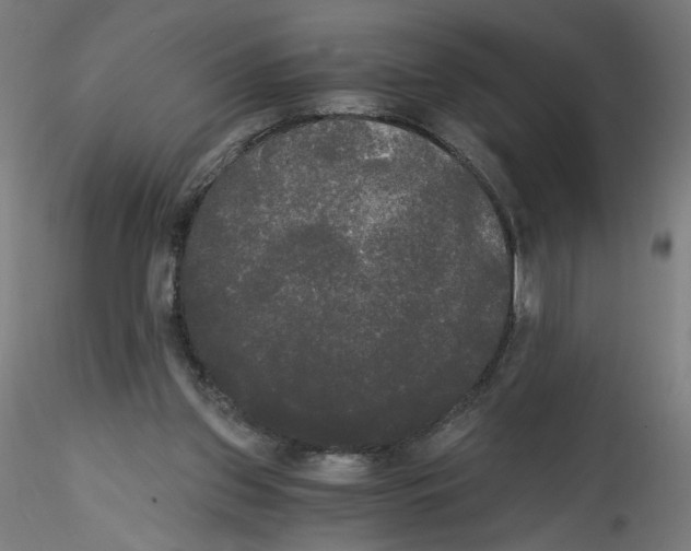 X0000114590157200911301408