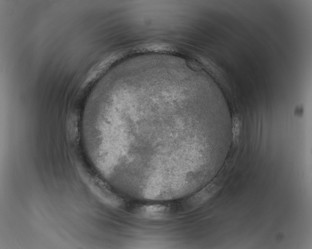 X0000114590158200911301408