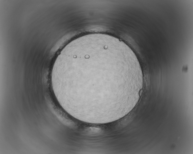 X0000114590159200911301408