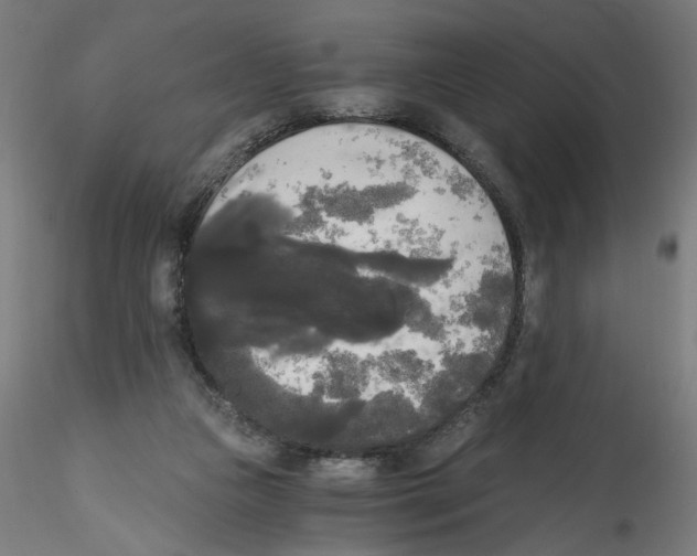 X0000114590161200911301408