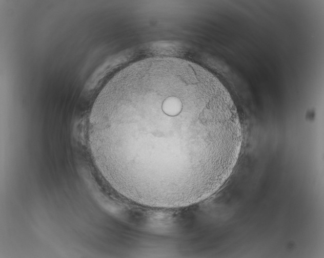 X0000114590162200911301408