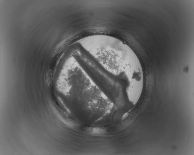 X0000114590165200911301408
