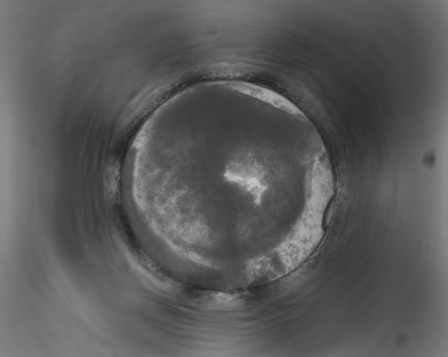 X0000114590166200911301408