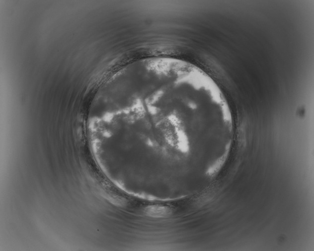 X0000114590169200911301408
