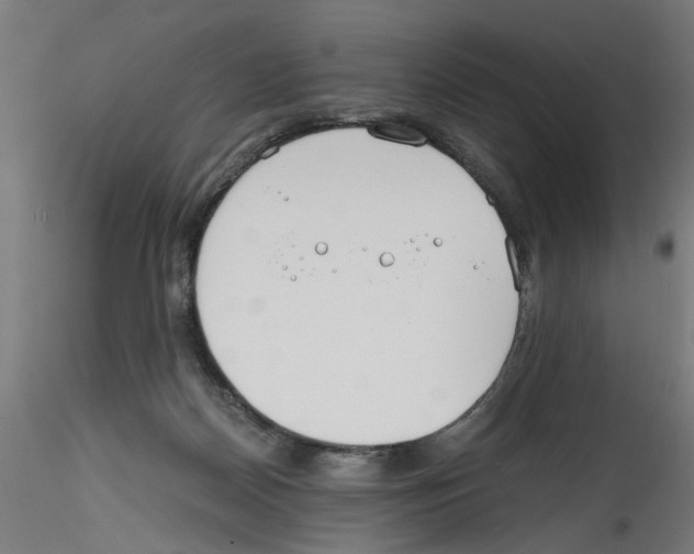 X0000114590170200911301408