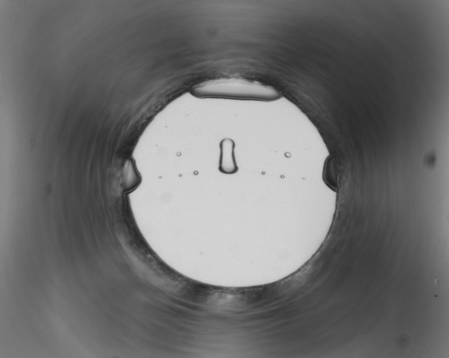 X0000114590174200911301408