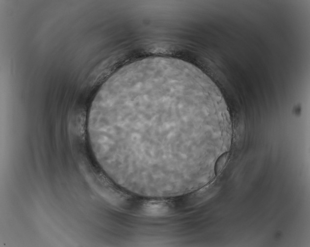X0000114590175200911301408