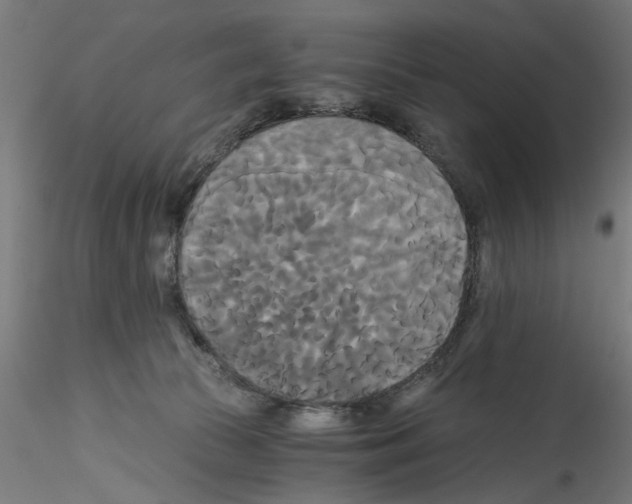 X0000114590177200911301408