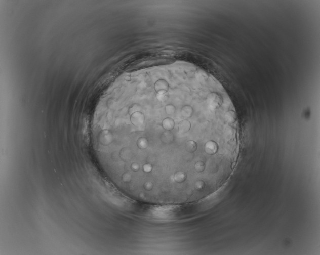 X0000114590178200911301408