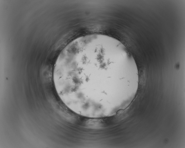 X0000114590179200911301408