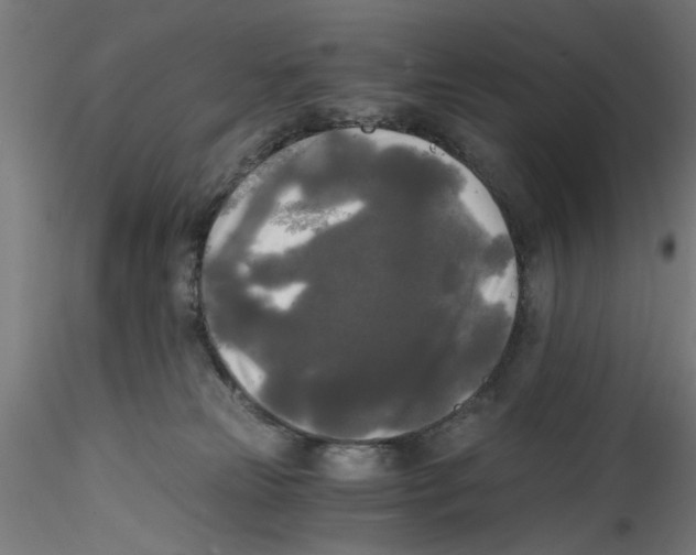 X0000114590181200911301408