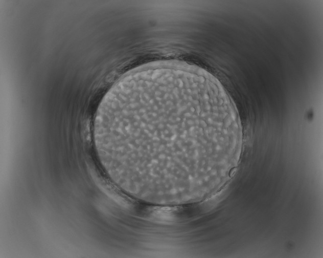 X0000114590182200911301408