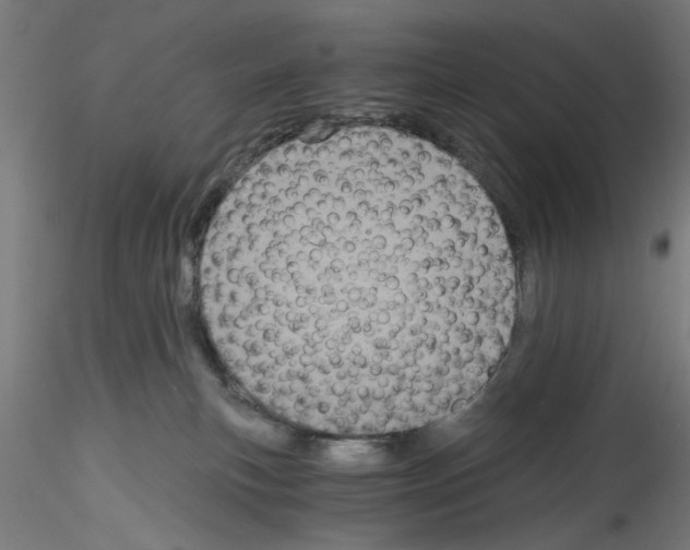 X0000114590183200911301408