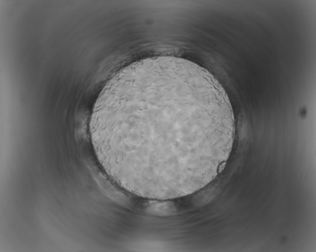 X0000114590185200911301408