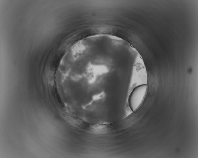 X0000114590189200911301408