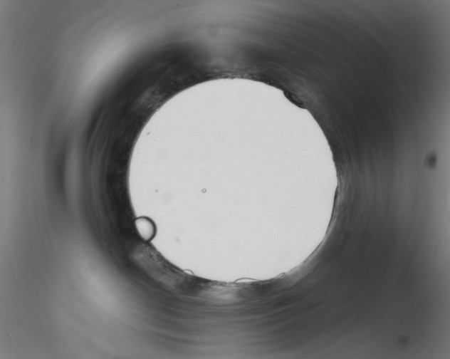 X0000114590190200911301408